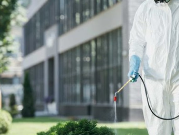 residential pest removal
